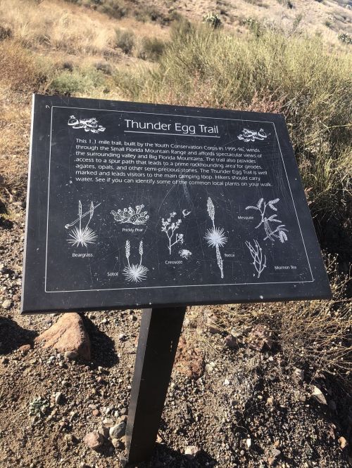 Sign for Thunder Egg Trail, detailing the trail's history and local flora in a desert landscape.