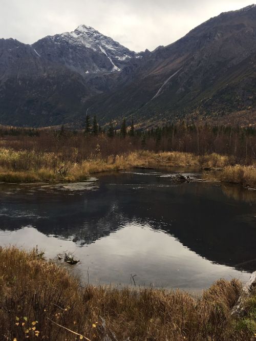 A serene landscape featuring a calm pond reflecting mountains and autumn foliage under a cloudy sky.
