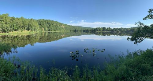 A serene lake surrounded by lush greenery, reflecting the clear blue sky and distant hills.