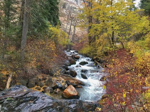 A serene stream flows through a forest with vibrant autumn foliage in shades of yellow and red.
