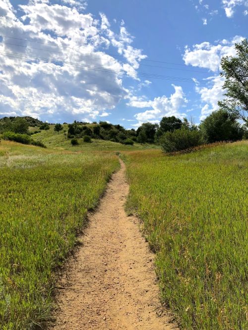 A winding dirt path through lush green grass under a blue sky with fluffy clouds.
