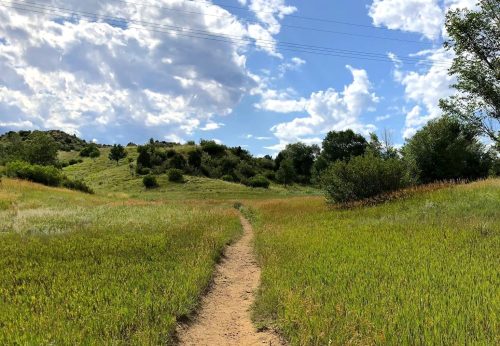 A winding dirt path through lush green grass under a blue sky with fluffy clouds.