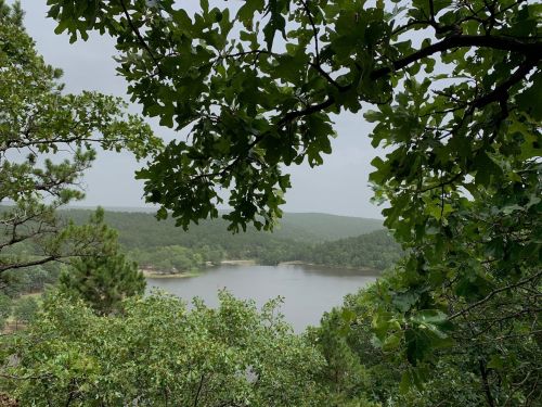 A serene view of a lake surrounded by lush greenery and trees under a cloudy sky.
