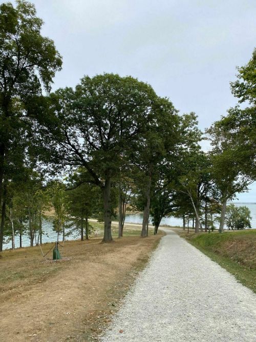 A gravel path lined with trees, leading towards a body of water under a cloudy sky.