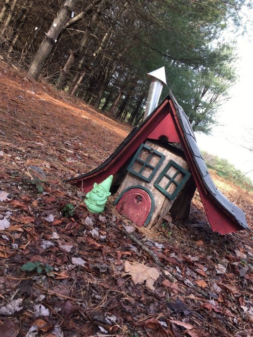 A whimsical, small wooden house with a slanted roof, surrounded by fallen leaves and a green gnome statue nearby.