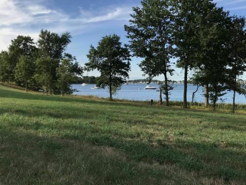 A serene lakeside view with green grass, trees, and boats on the water under a clear blue sky.