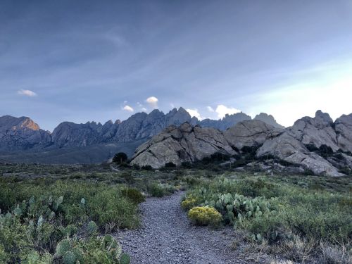 A rocky path winds through green vegetation, leading to rugged mountains under a clear sky.