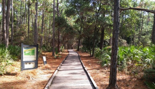 A wooden boardwalk winds through a lush forest with tall trees and greenery, leading to a nature trail sign.