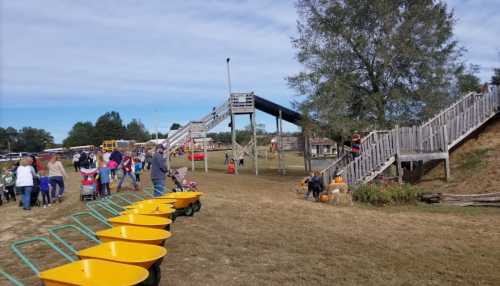 A playground with slides and ramps, surrounded by families and wheelbarrows, on a sunny day.