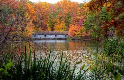 A serene lake surrounded by vibrant autumn foliage and a rustic wooden cabin in the background.