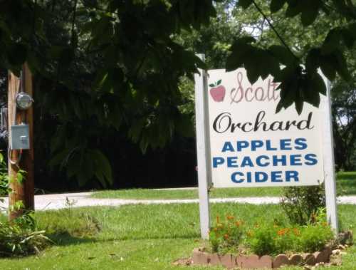 Sign for Scott Orchard featuring "Apples, Peaches, Cider" surrounded by greenery.