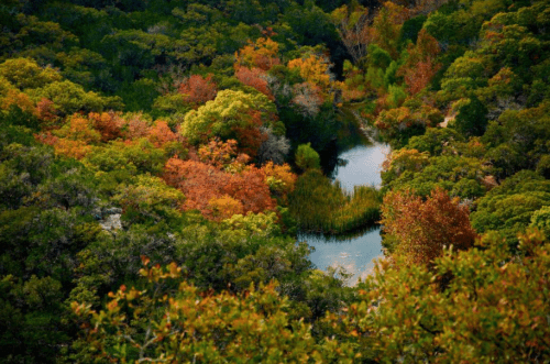 Aerial view of a lush forest with vibrant autumn foliage surrounding a serene, reflective pond.