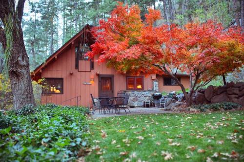 A cozy cabin surrounded by vibrant autumn foliage and a green lawn, nestled in a forested area.