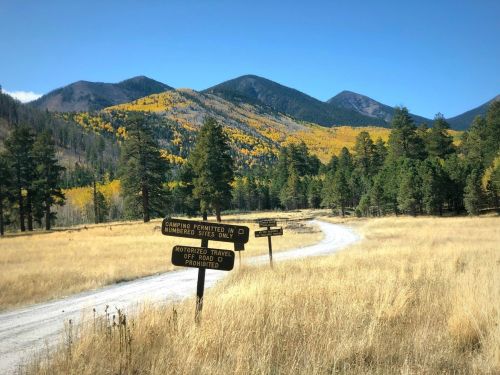 A dirt road leads through a grassy area with signs, surrounded by mountains and trees with autumn foliage.