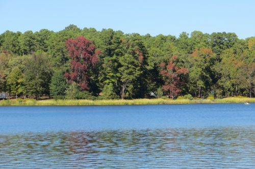A serene lake surrounded by trees displaying autumn colors under a clear blue sky.
