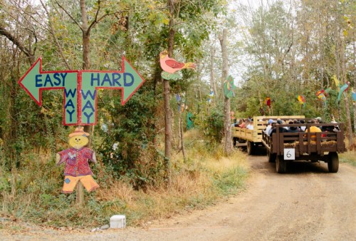 A dirt path with signs pointing to "Easy" and "Hard" ways, and a wagon filled with people driving through a wooded area.