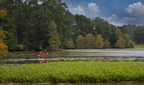A group of people in red life jackets paddles a canoe on a calm lake surrounded by lush greenery and trees.