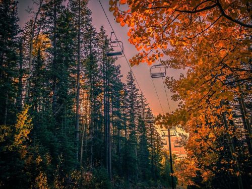A scenic view of a ski lift surrounded by tall trees and vibrant autumn foliage at sunset.