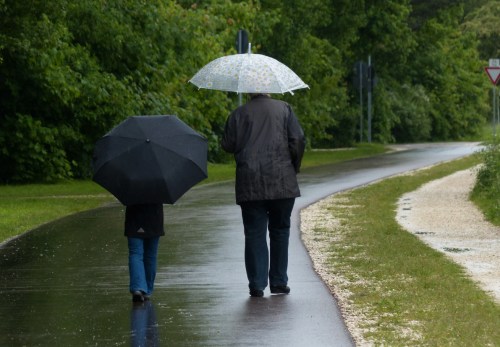 A person and a child walk on a rainy path, each holding an umbrella, surrounded by lush greenery.