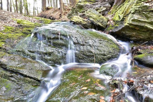 A serene stream flows over moss-covered rocks in a lush forest setting.