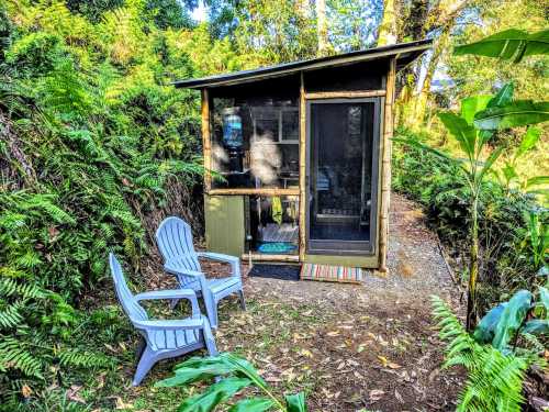A small, modern cabin surrounded by greenery, with two blue chairs on a path leading to the entrance.
