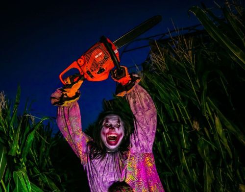 A clown in a colorful outfit raises a chainsaw above their head, surrounded by tall corn stalks at night.