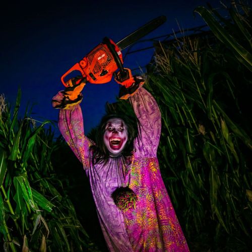 A clown in a colorful outfit holds a chainsaw, standing in a dark cornfield at night.