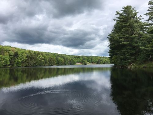 A serene lake surrounded by lush green trees under a cloudy sky, with gentle ripples on the water's surface.