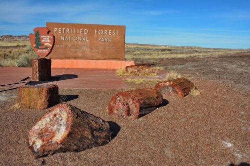 Sign for Petrified Forest National Park with colorful petrified wood logs in the foreground and a clear blue sky.
