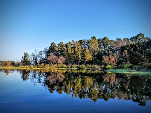 A serene lake reflecting a forested shoreline under a clear blue sky.