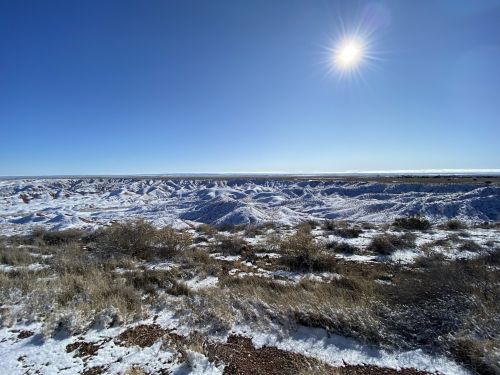 A snowy landscape with rolling hills under a clear blue sky and bright sun. Sparse vegetation is visible in the foreground.