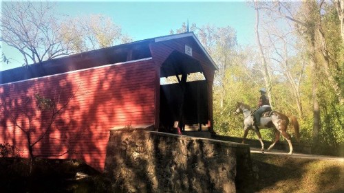 A rider on a horse approaches a red covered bridge surrounded by trees in a sunny setting.