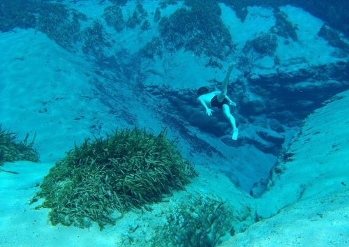 A person swimming underwater near a sandy ocean floor with seaweed and rocky formations in the background.