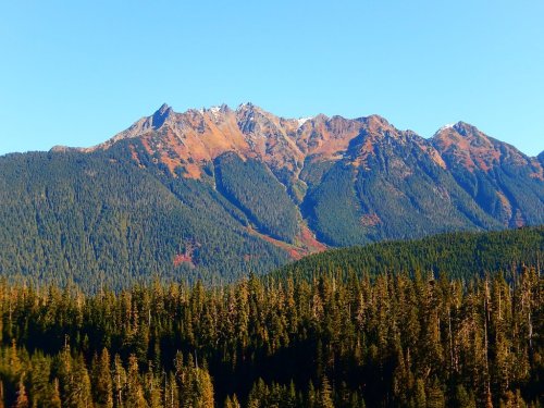 A scenic view of rugged mountains with a clear blue sky, surrounded by dense green forests.