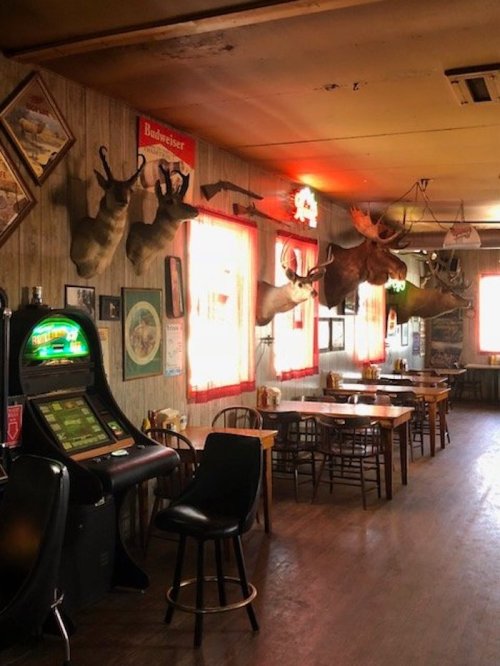 Interior of a rustic bar with wooden tables, a slot machine, and mounted animal heads on the walls. Warm lighting.