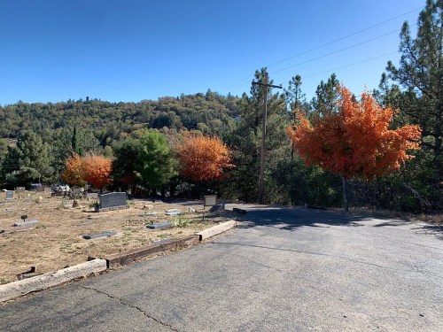A peaceful cemetery scene with autumn trees and a clear blue sky in the background.
