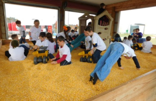 Children playing in a large sandbox filled with corn kernels, using toy trucks and climbing on play structures.