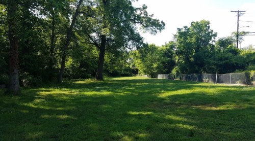 A grassy area surrounded by trees, with a fence in the background under a clear blue sky.