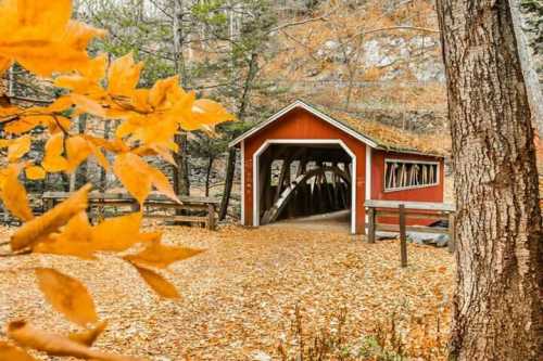 A red covered bridge surrounded by autumn leaves and trees, with a carpet of fallen leaves on the ground.