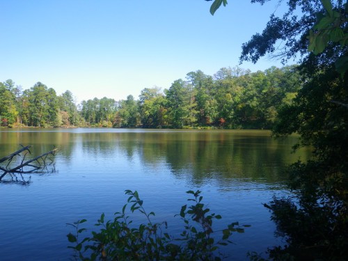 A serene lake surrounded by lush green trees under a clear blue sky. Reflections shimmer on the water's surface.