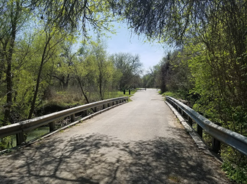 A peaceful pathway lined with trees, leading to a bridge over a small creek on a sunny day.