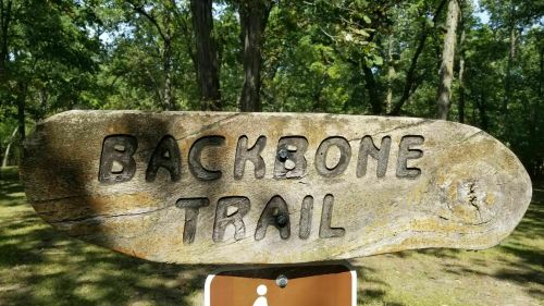 Wooden sign reading "Backbone Trail" in a forested area, surrounded by trees and greenery.
