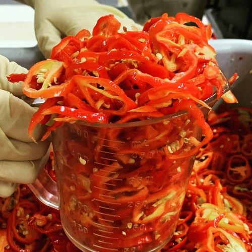 A hand holding a measuring cup filled with sliced red chili peppers, surrounded by more peppers in a large container.