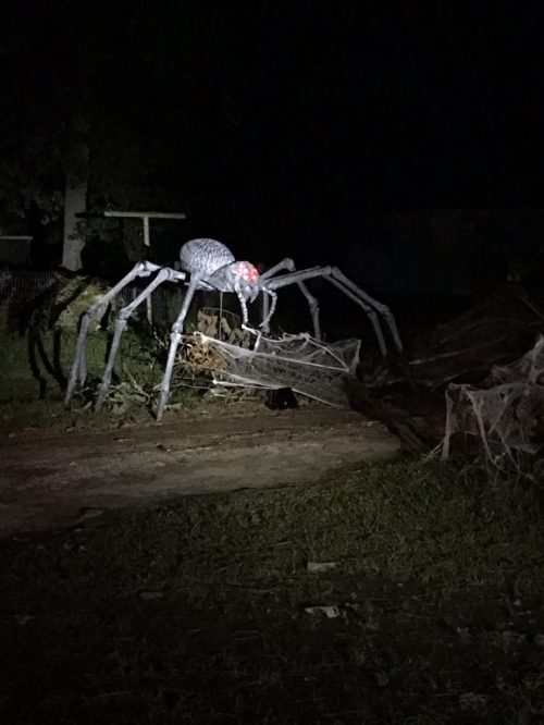 A large, spooky spider decoration with glowing red eyes sits on a web in a dark outdoor setting.