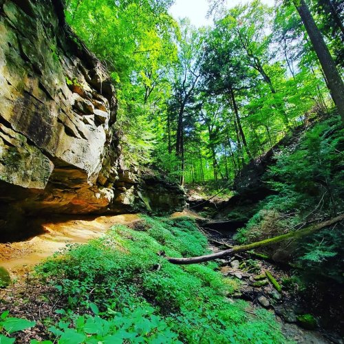 A lush green forest with rocky cliffs and a small stream running through a serene, natural landscape.