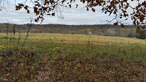 A scenic view of a grassy field bordered by trees, with rolling hills in the background under a cloudy sky.
