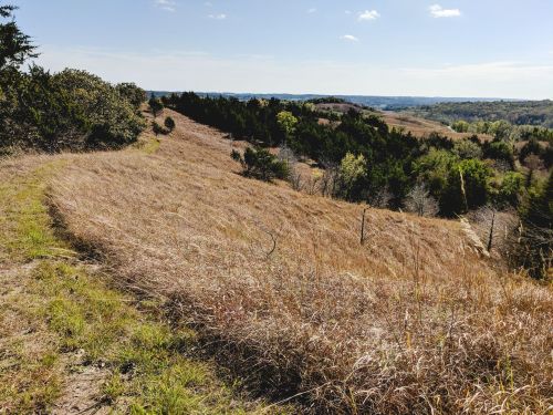 A scenic view of rolling hills covered in dry grass and sparse trees under a clear blue sky.