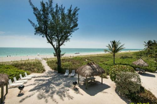 A serene beach scene with palm trees, a thatched gazebo, and lounge chairs overlooking the turquoise ocean.