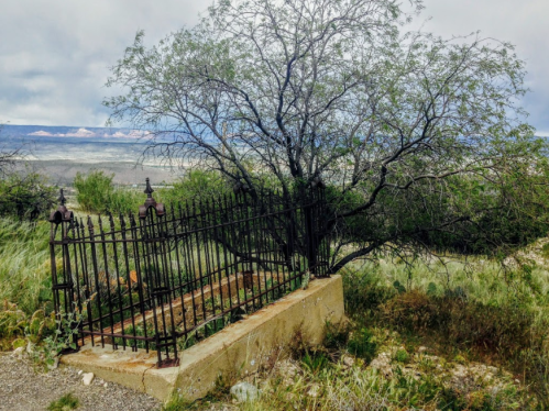 A wrought iron fence surrounds a small, overgrown area with a tree, set against a distant landscape under cloudy skies.