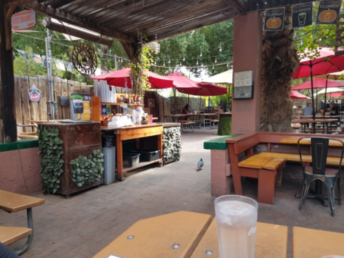 Outdoor dining area with wooden tables, umbrellas, and a bar. A pigeon is seen on the ground among greenery.